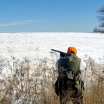 Kansas Crowing About Its Pheasants