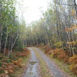 SBH Hunt Report: Maine Grouse, Day 4