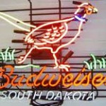 More Deets on SD Pheasant Forecast