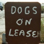 Would You Lease a Gun Dog?