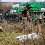 Pheasant Stocking Won’t Help Iowa