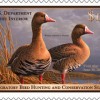Is It Time for an Upland Bird Stamp?